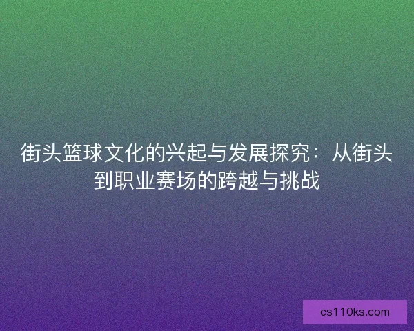 街头篮球文化的兴起与发展探究：从街头到职业赛场的跨越与挑战